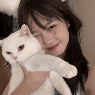 半岛官网入口体育