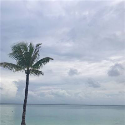 江南全站登录手机app下载